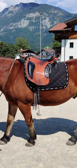 TAUSCHE! Deuber El Campo S2 gegen Barock Deluxe Sattel S3, Deuber El Campo S2, Co, Other Saddle, Ebbs, Image 3