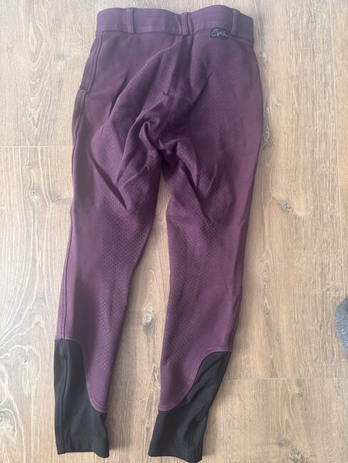 Reithose aubergine, Equilibre, Jennifer Kamphausen, Breeches & Jodhpurs, München, Image 2