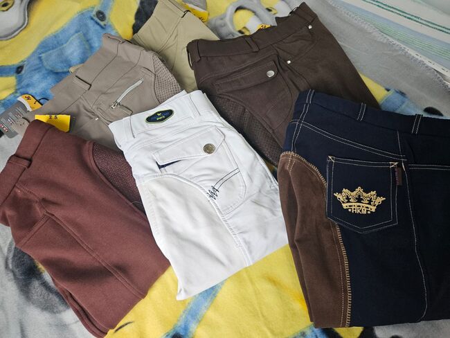 Damen Reithosen 600Stk., Markus, Breeches & Jodhpurs, Krefeld, Image 5