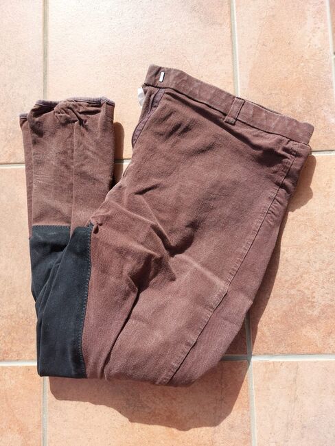 Reithose Gr.44, Victoria, Breeches & Jodhpurs, Puch bei Hallein