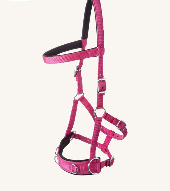 Kapzaum Pink, Chiara , Halters, Buseck, Image 2