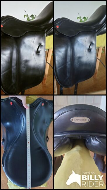 Capreole Dressursattel, 17 Zoll, schwarz, Capreole, Claudia Sauer, Dressage Saddle, Heusweiler, Image 14