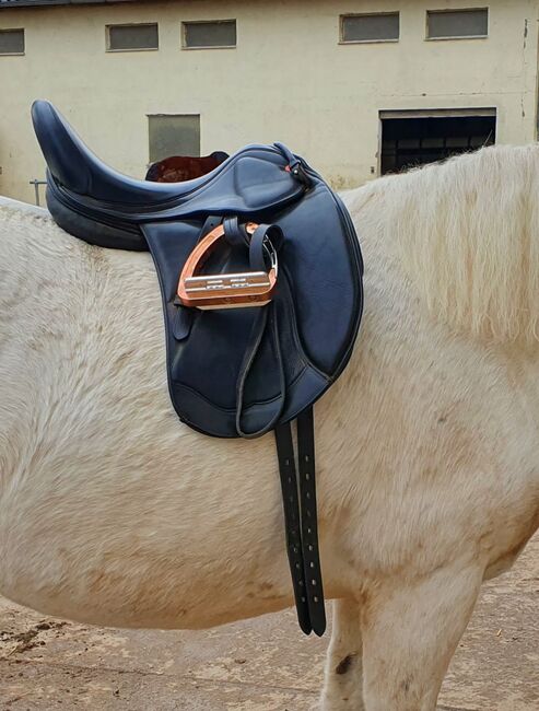 Capreole Fusion 2 Dressursattel 16,5" KW33/34 Französische Kissen/Bananenkissen Kl Pony Kleinpferd, Capreole Fusion 2, Stefanie, Dressage Saddle, Kelkheim (Taunus), Image 5