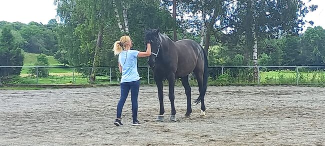 Pflegebeteiligung/Reitbeteiligung, Pflegebeteiligung/Reitbeteiligung , Sandra , Horse Sharing, Blumberg, Image 3