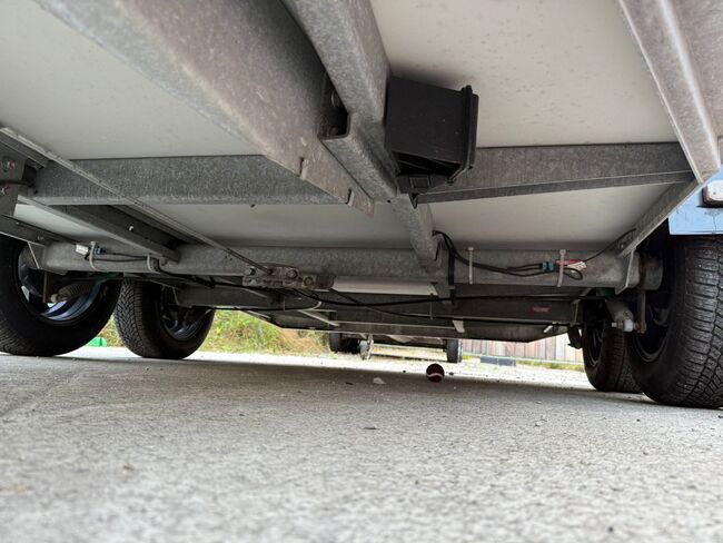 Careliner M Pferdeanhänger, Careliner M, Sport- und Freizeitpferde Fuchs (Sport- und Freizeitpferde Fuchs), Pferdeanhänger, Ehingen, Abbildung 13