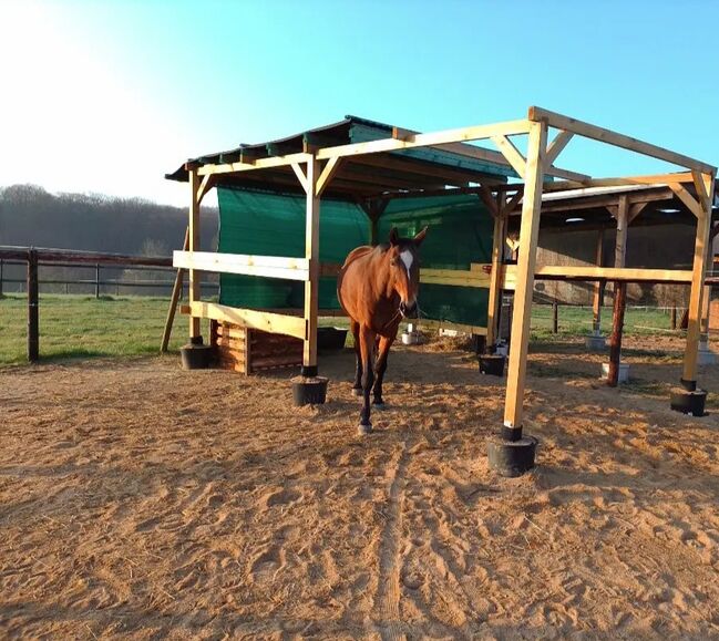 Carport/ Weideunterstand zu verkaufen, Rebecca Raser Rebecca Raser, Rebecca Raser, Horse Shelters & Tents, Bergheim, Image 4