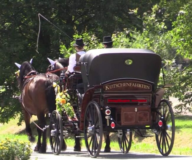 Kutsche für Großpferde, Kibele  Vis-a-Vis, Maximilian  Scheiber, Carriages, Schreibersdorf , Image 4