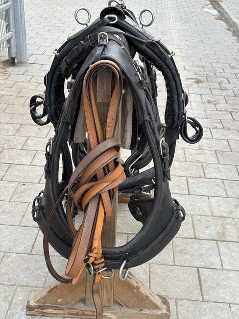 Kutschengeschirr für Pferde, Carina, Carriages, Hagelstadt, Image 2