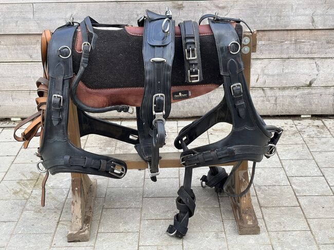 Kutschengeschirr für Pferde, Carina, Carriages, Hagelstadt, Image 4