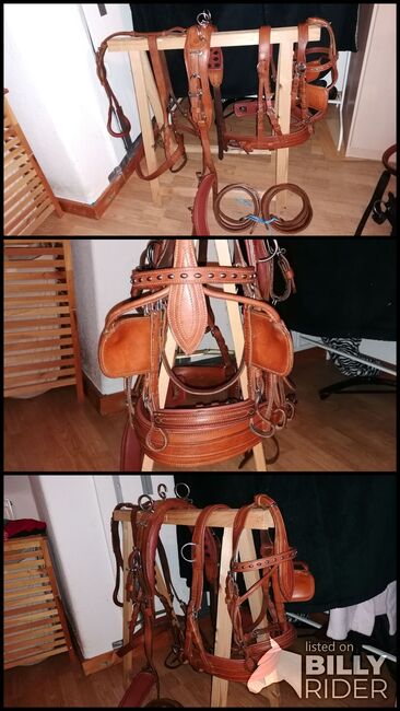 Kutschgeschirr Einspänner Shetty, Josy, Horse Harness, Schafstedt, Image 4