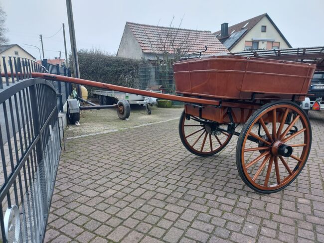 Kutsche  Großpferde, Anne, Carriages, Schlüsselfeld , Image 5