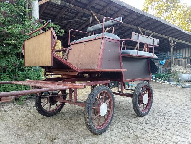 sofort fahrbereite Kutsche zu verkaufen (Ponys), Familie, Carriages, Rahden, Image 5