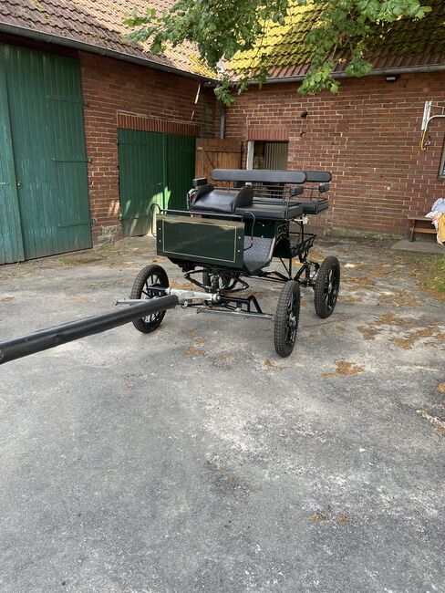 Kutsche Wagonette Trainingswagen Marathonwagen Pony, Saskia, Carriages, Westerkappeln , Image 3