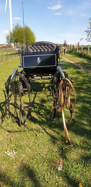 Kutsche mit Licht und Zubehör mit Geschirr, Simone Reifert , Carriages, Caaschwitz