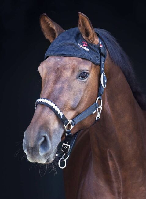 Catago Infrarot Fir Tech Healing Genickhaube w Back on Track WB, Catago, Sell_It_All, Halters, Ahrweiler, Image 2
