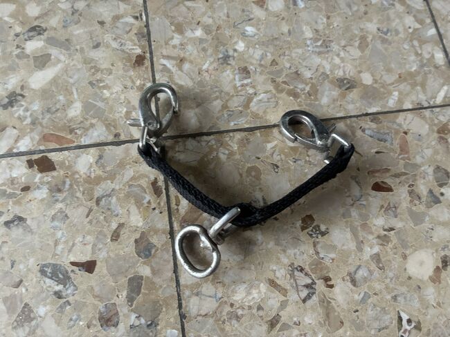 Kavalkade, Longierbrille, Longieren, Bodenarbeit, Handarbeit, Kavalkade, Meike, Lunging, Dormagen 