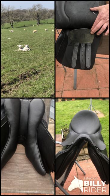 Cavalleti Gp saddle, Cavaletti  General purpose , Wendy Davison , All Purpose Saddle, New Silksworth, Image 11