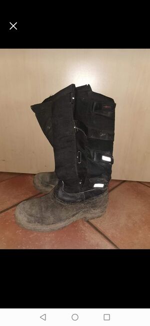 Winterreitstiefel Cavalliero, Cavalliero , Lisa , Riding Boots, Winkelhaid, Image 4