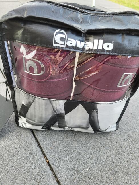 Cavallo Bandagen bordeaux / rubin NEU WB, privat, Horse Bandages & Wraps, friedrichsthal