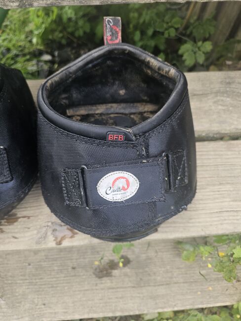 Cavallo BFB in Gr. 9, Cavallo BFB, AW, Shoeing, Hennef, Image 4