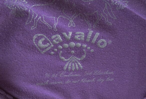 Cavallo Coolmax Funktionsshirt Langarm Gr. S 36/38 TOP, Cavallo, sunnygirl, Shirts & Tops, München, Image 2