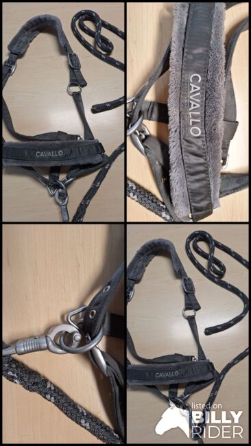 Cavallo Fellhalfter WB mit Strick grau, Cavallo  Fellhalfter, Jenna2017, Halters, Bielefeld , Image 6