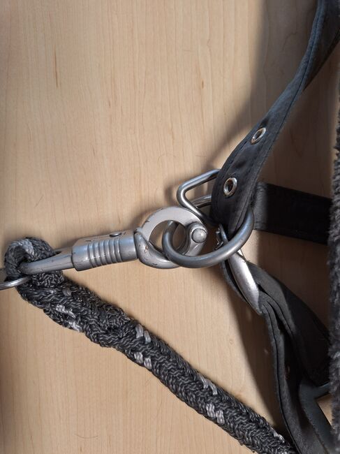 Cavallo Fellhalfter WB mit Strick grau, Cavallo  Fellhalfter, Jenna2017, Kantary, Bielefeld , Image 5