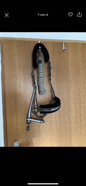 Cavallo Halfter mit Eskadron Strick wb, Katharina , Halters, Neustadt (Hessen)