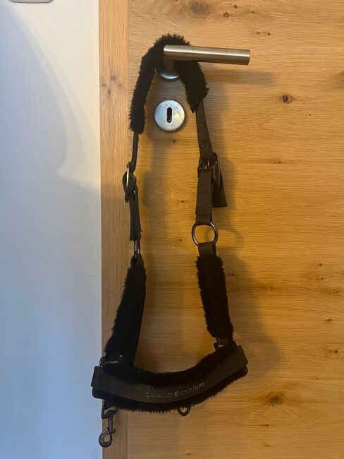 Cavallo Halfter, Zara, Halfter, Allersberg, Abbildung 3