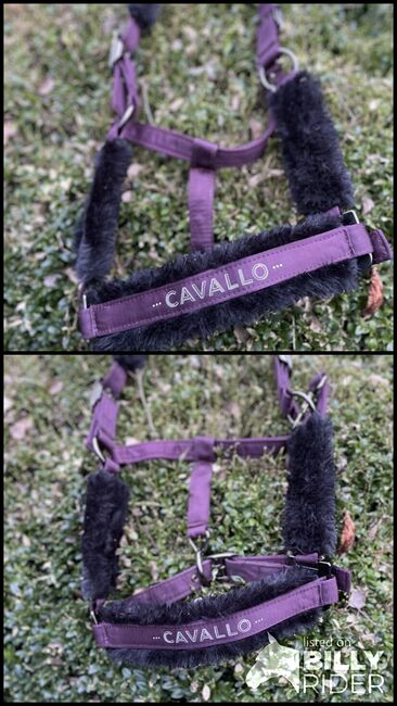 Cavallo Halfter, Cavallo , Friederike , Halfter, Lienen, Abbildung 3