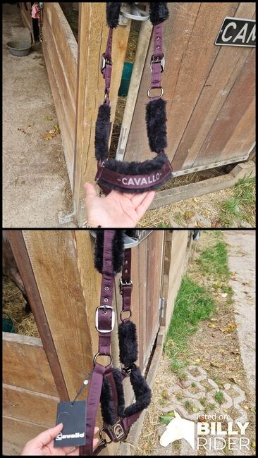 Cavallo Halfter WB, mona, Halfter, Petershausen, Abbildung 3