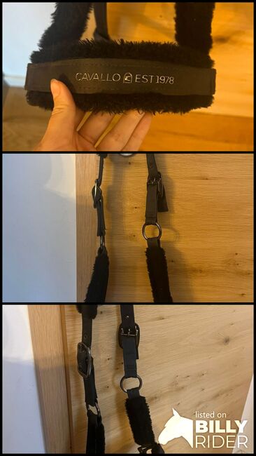 Cavallo Halfter, Zara, Halters, Allersberg, Image 4