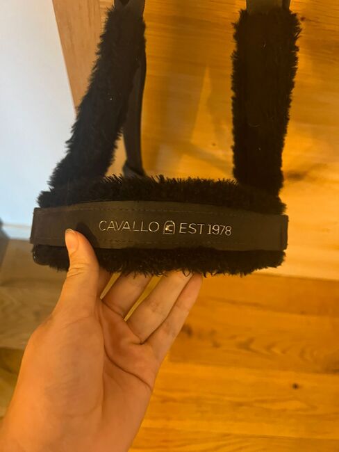 Cavallo Halfter, Zara, Halters, Allersberg