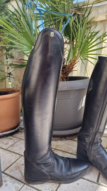 Cavallo Insignis Gr 39, Cavallo  Insignis, Jennifer , Riding Boots, München, Image 5