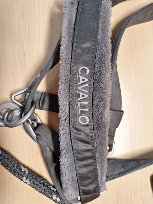 Cavallo Fellhalfter WB mit Strick grau, Cavallo  Fellhalfter, Jenna2017, Halters, Bielefeld , Image 4