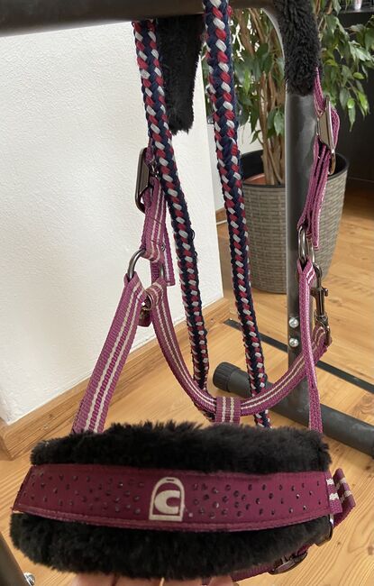 Cavallo Abschwitzdecke + Halfter, Cavallo , Bibi, Horse Blankets, Sheets & Coolers, Kirchheim, Image 4