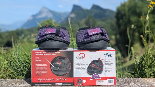 Cavallo Trek Grösse 6 lila, neu und ungebraucht, Cavallo Trek, Mareike Uhlmann, Hufschuhe & Krankenschuhe, Maienfeld