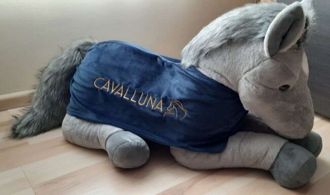 Plüschpferd Cavalluna XL, Fabienne, Dvd i media, Frauenkirchen, Image 7