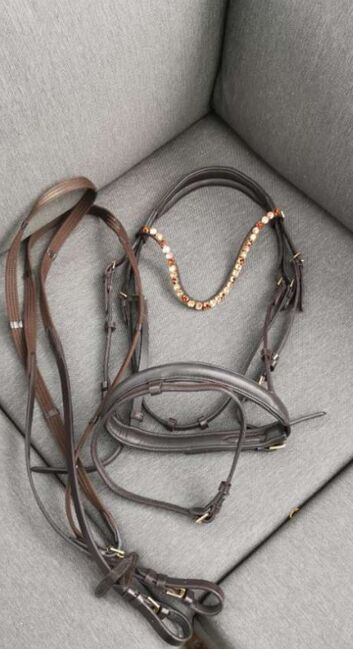 Reithalfter englisch braun WB Claridge House, Claridge House, Martina, Nosebands, Raaba-Grambach