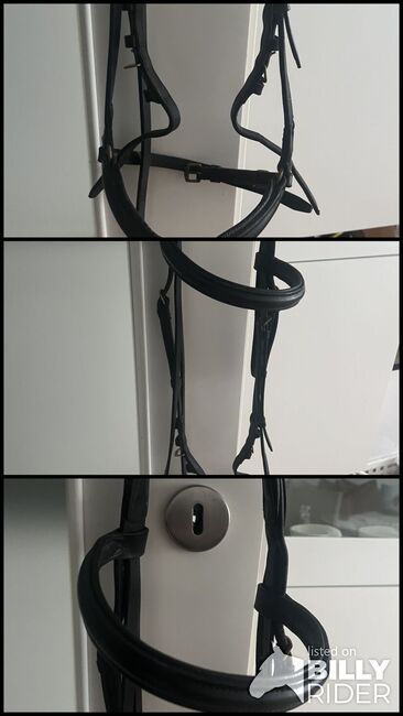 Reithalfter Hannoveranisch, Silke König, Bridles & Headstalls, Grafing , Image 4