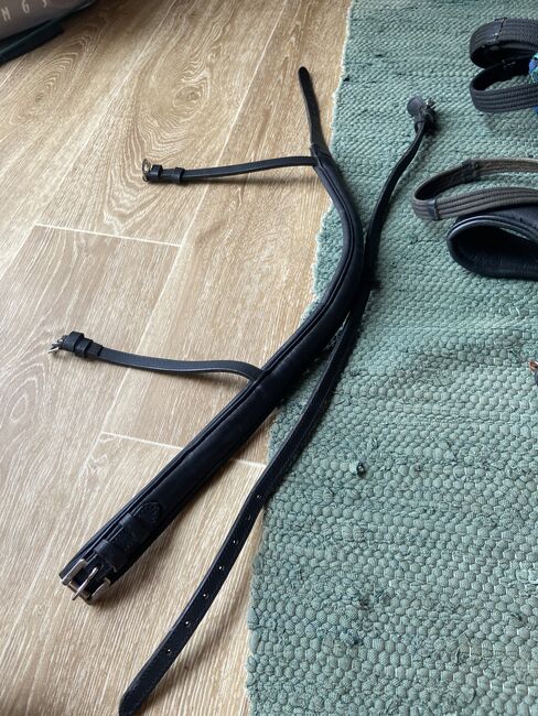 Reithalfter, Stephanie , Nosebands, Graz 