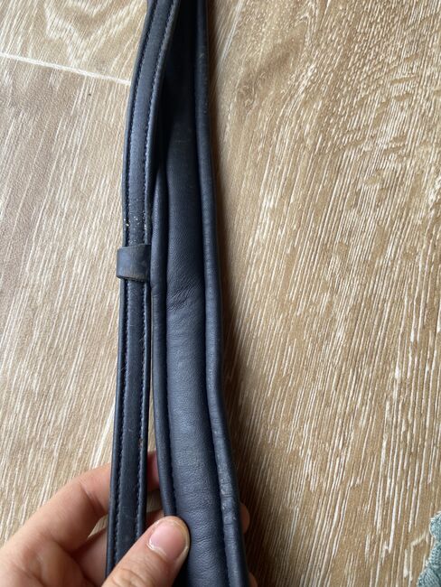 Reithalfter, Stephanie , Nosebands, Graz , Image 3