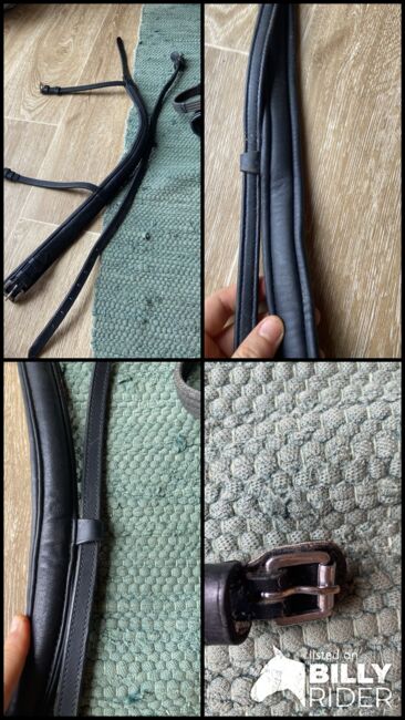 Reithalfter, Stephanie , Nosebands, Graz , Image 5