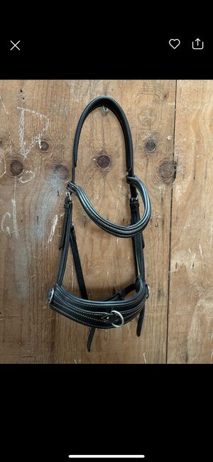 Kappzaum gebisslose trense, Jessica, Bitless Bridles, Droyßig