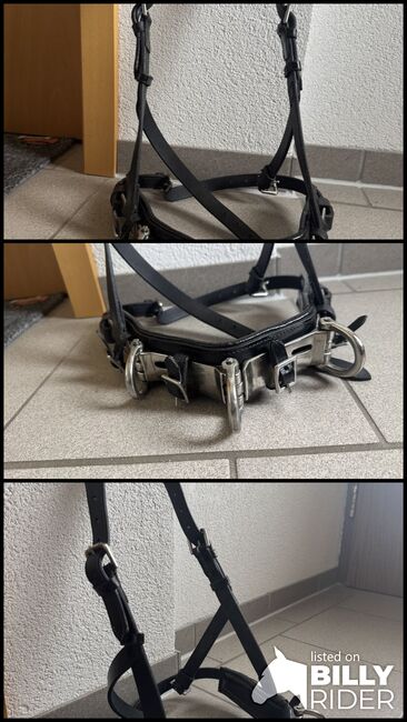 Kappzaum schwarz/silber, Kerstin, Lunging, Nenzing, Image 4