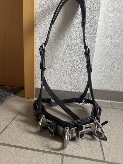 Kappzaum schwarz/silber, Kerstin, Lunging, Nenzing