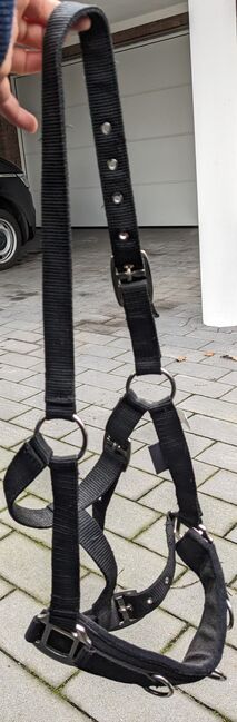 Kappzaum für Vollblut (passt auf Warmblut mit Vollblutanteil), / Kappzaum , Sophie Steinmeier , Bitless Bridles, Steinhagen 