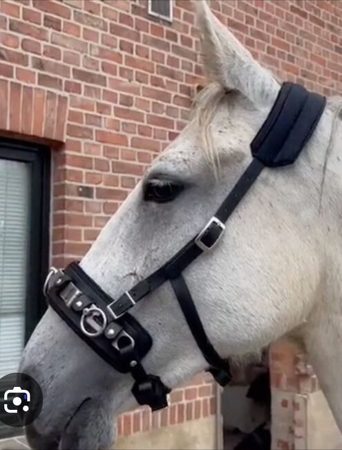 Kappzaum von Babette Teschen, Babette Teschen Kappzaum, Sabine Gensmann, Other, Hilchenbach