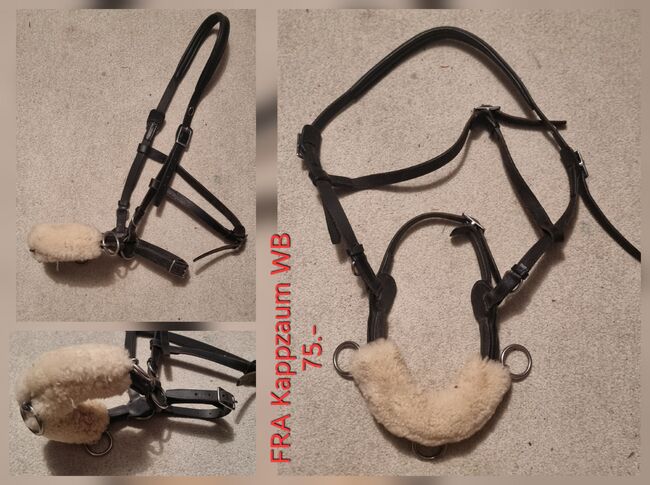 Kappzaum FRA WB, FRA Kappzaum WB, Nadja Jenny, Lonżowanie, Holziken