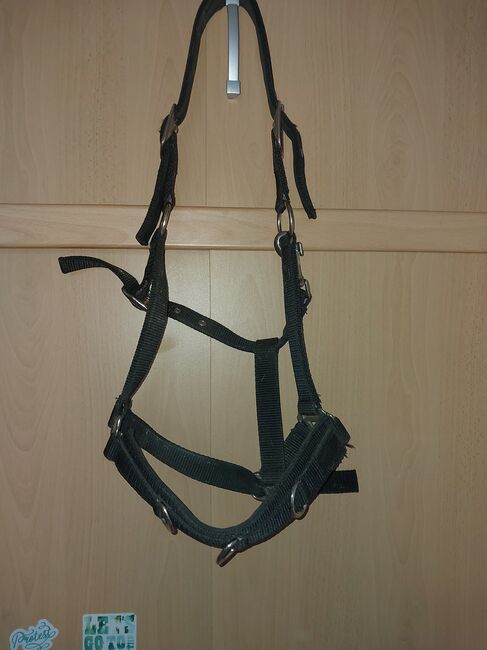 Kappzaum full schwarz, Powerhorse, Lonżowanie, Ziemetshausen, Image 2
